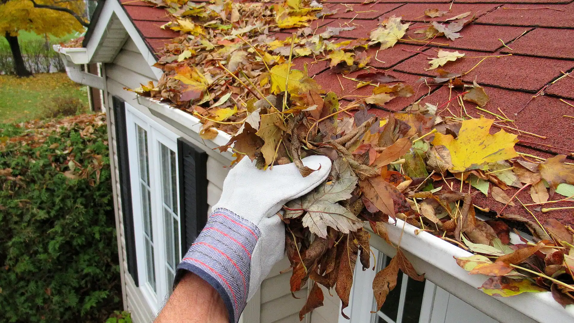 Person wearing a work glove cleaning fallen autumn leaves from a roof gutter on a house.